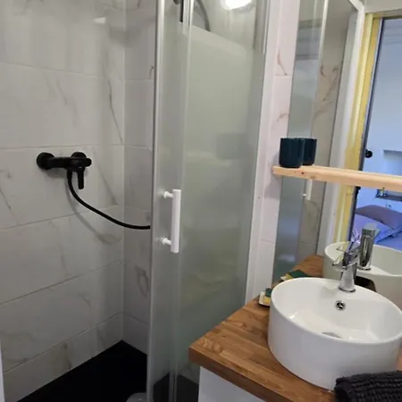 Appartement Climatise Avec Jardin Apartment Colmar