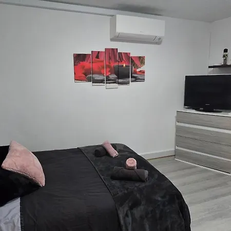 Avec Jardin à Apartamento