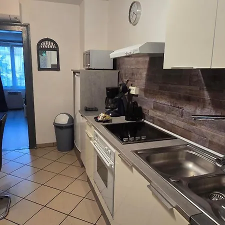 公寓 Avec Jardin A 科尔马