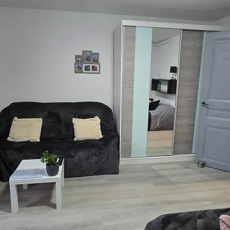 Avec Jardin A 科尔马