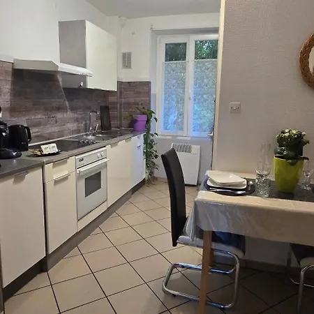Avec Jardin à Appartamento Colmar