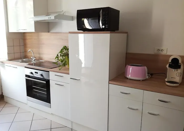 Appartement Avec Jardin A Colmar